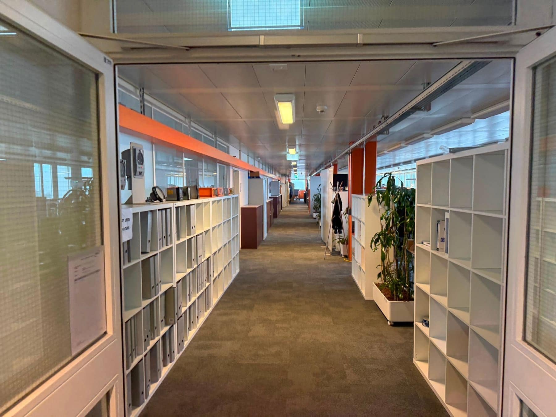 Bürokorridor mit Aktenregalen, Pflanzen und Teppichboden