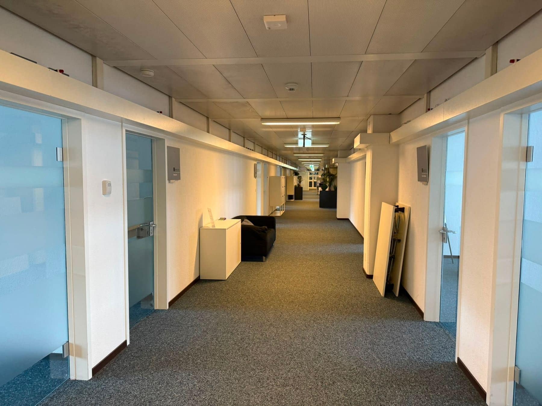 Bürokorridor nach der Unterhaltsreinigung durch Imeri Reinigung