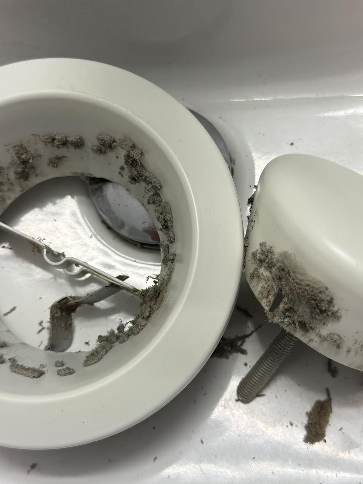 Zwei ausgebaute, zerlegte Tellerventile mit Staubflusen an Ring und Teller