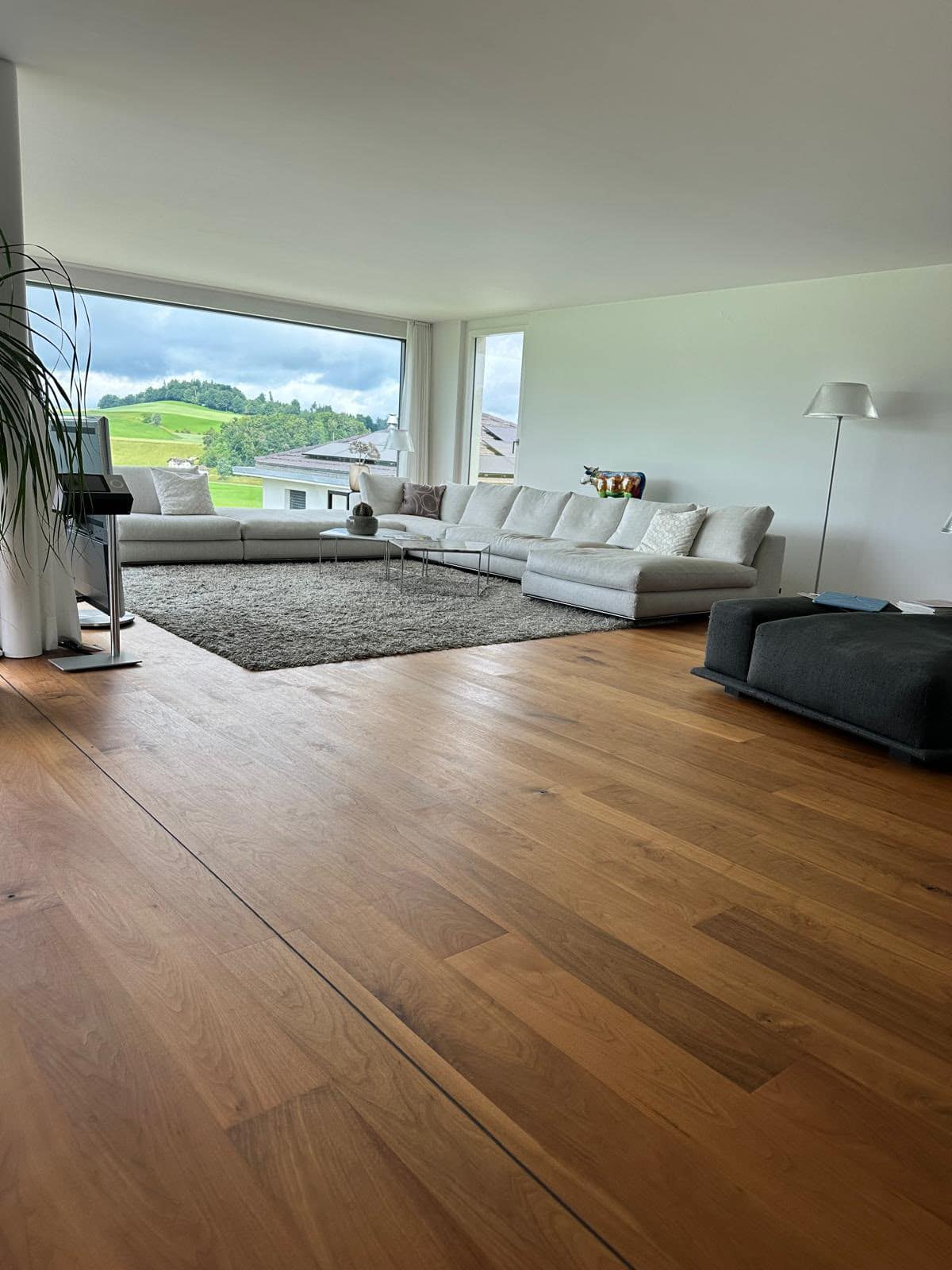 Wohnzimmer mit hellem Sofa, Teppich und Parkett vor einer grossen Fensterfront
